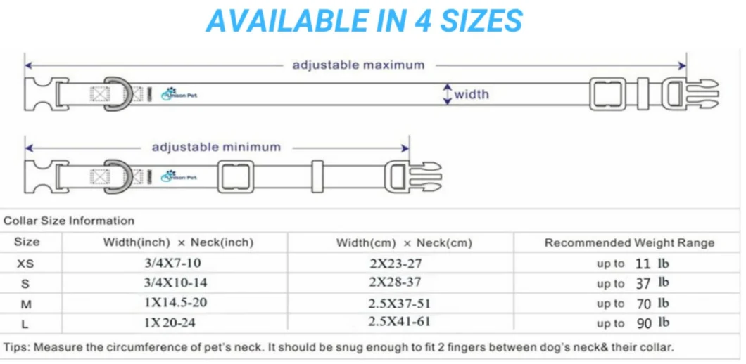 ISO Approved Factory Offered Heavy Duty Collar Leash Sets for Large Dogs with Two D-Rings