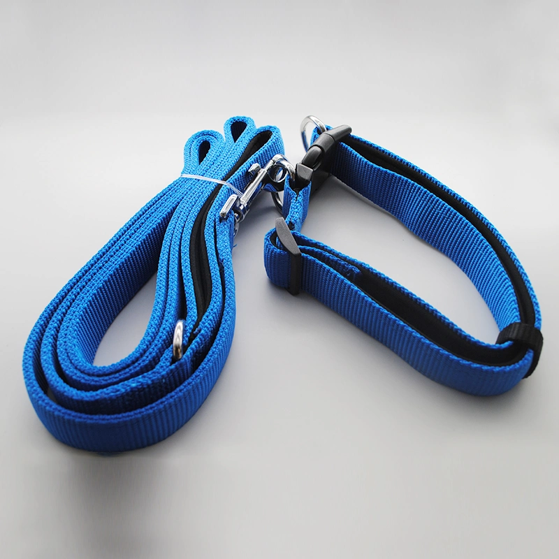 ISO Approved Factory Offered Heavy Duty Collar Leash Sets for Large Dogs with Two D-Rings