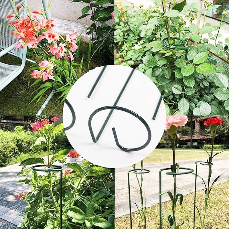 Steel Garden Single Stem Support Ring for Plants Flowers Vegetables